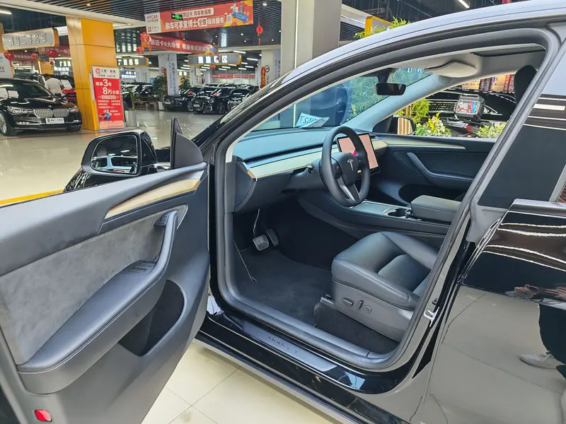 Tesla Model Y — фото 14