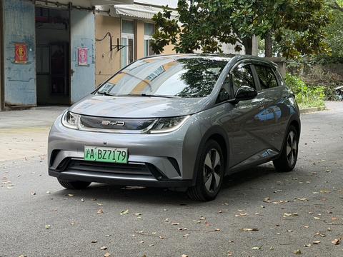 BYD Dolphin