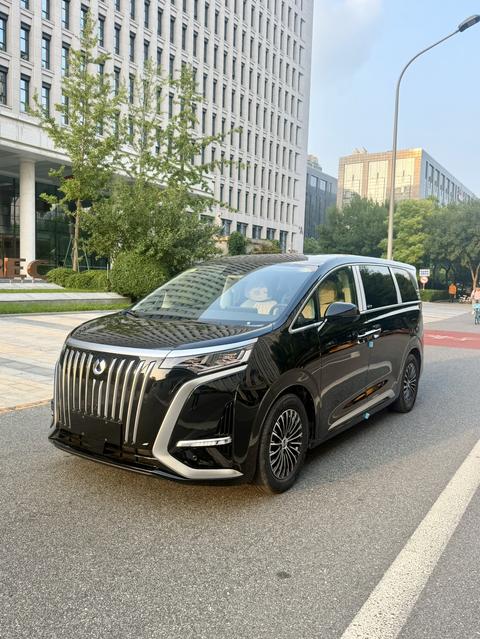 DENZA D9 EV, 2024 год
