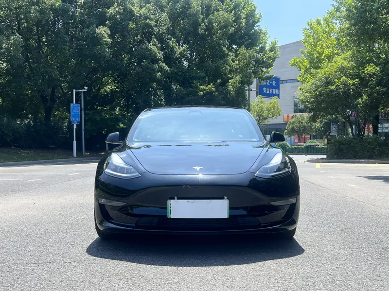 Tesla Model 3 Performance — фото 2