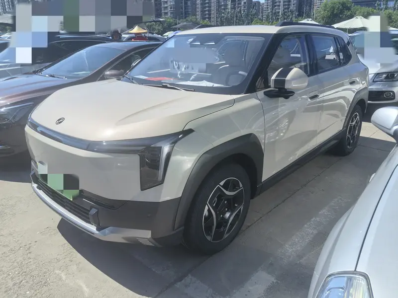 Dongfeng Nammi 06