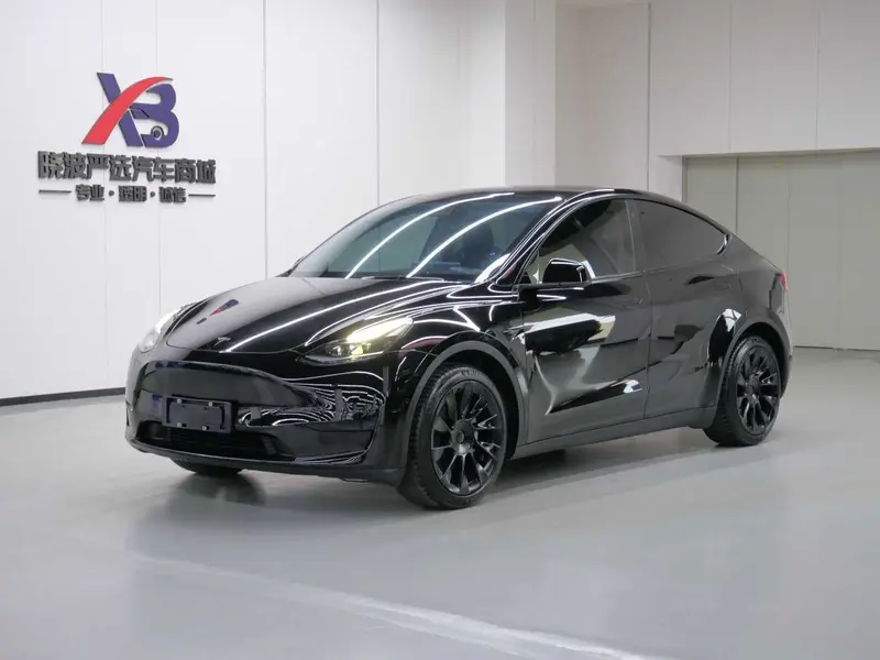 Tesla Model Y — фото 1