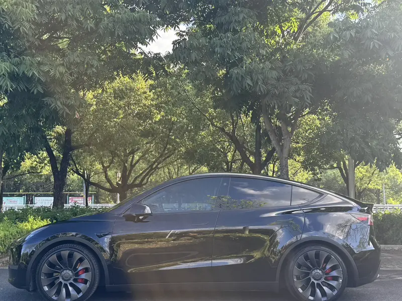 Tesla Model Y Performance — фото 3