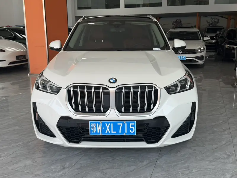 BMW X1 sDrive25Li M спортпакет — фото 2