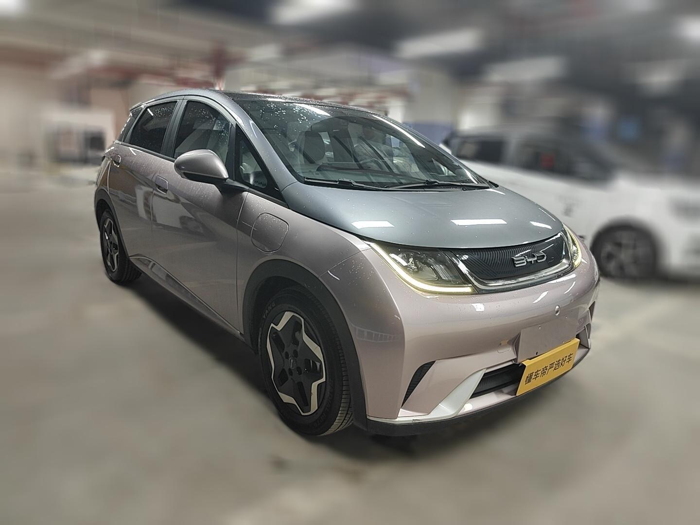 BYD Dolphin 2021 Fashion