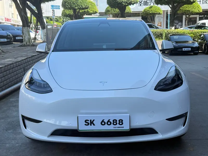 Tesla Model Y — фото 2