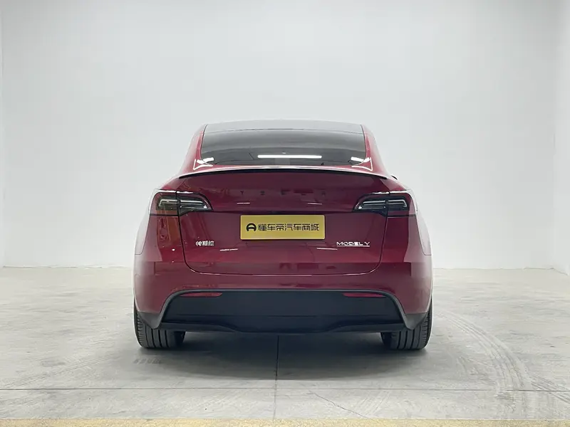 Tesla Model Y Performance — фото 6