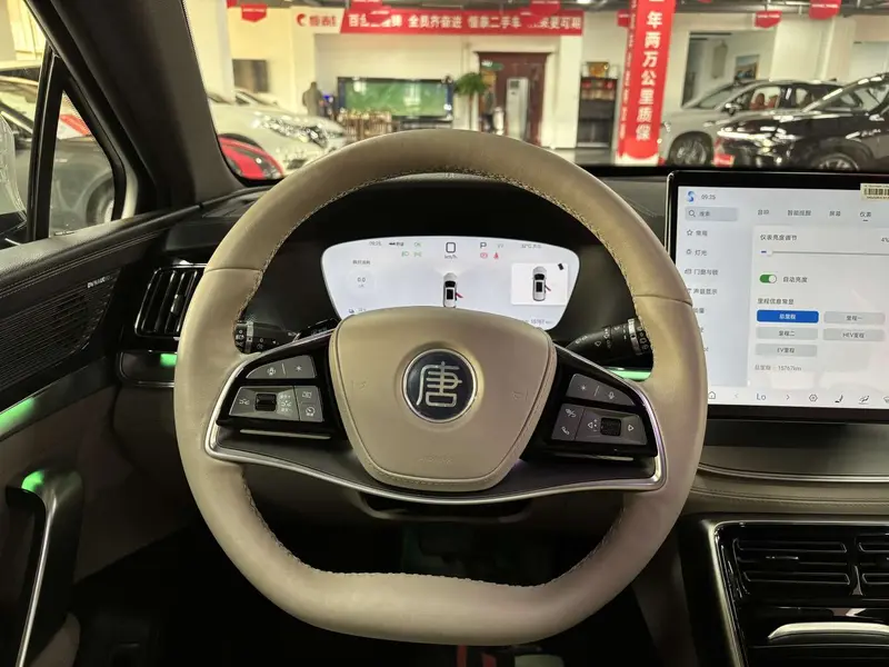 BYD Tang DM-i 115 KM — фото 11