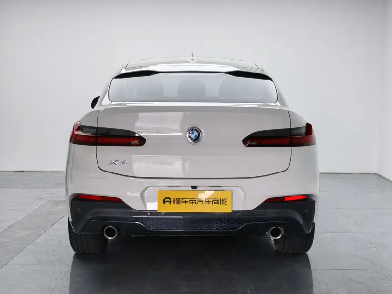 BMW X4 xDrive25i M спортпакет — фото 6