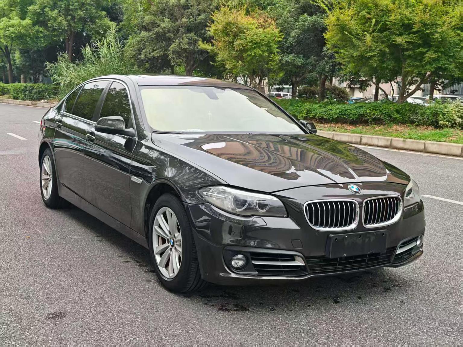 BMW 5 Series 5 2014 520Li Elegant