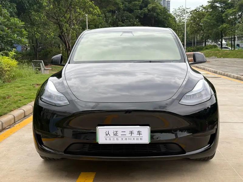 Tesla Model Y — фото 2