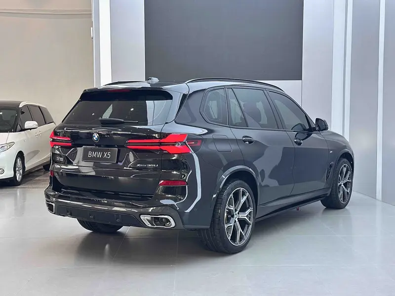 BMW X5 xDrive30Li M спортпакет — фото 4