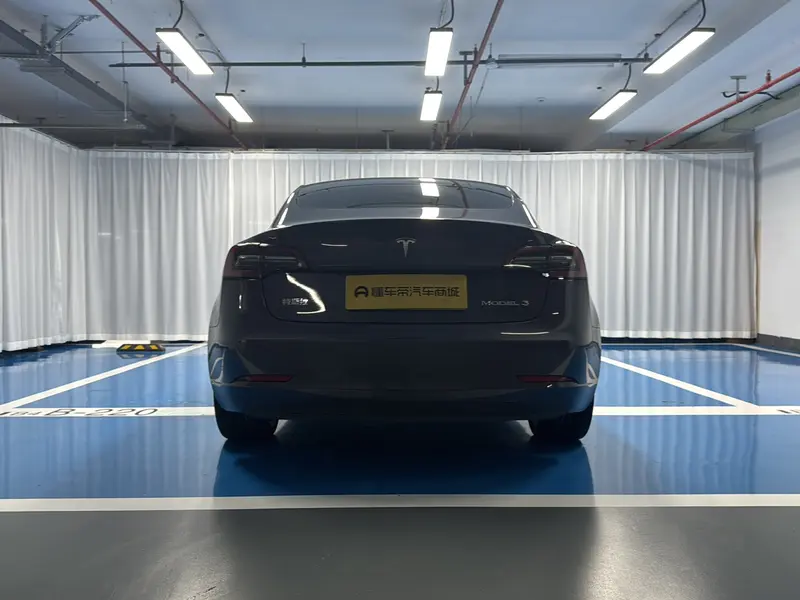 Tesla Model 3 RWD 3 D 1 — фото 6