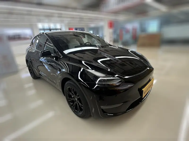 Tesla Model Y — фото 3