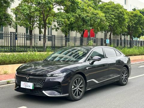 VOYAH Passion PHEV