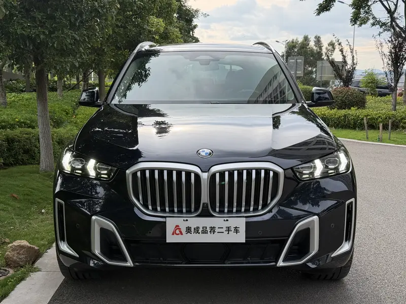 BMW X5 — фото 2