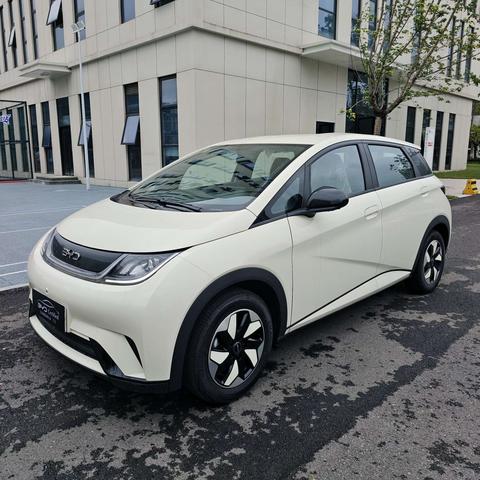 BYD Dolphin 2025 420KM Freedom