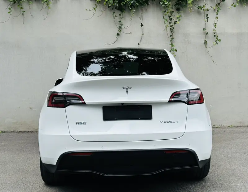 Tesla Model Y — фото 5