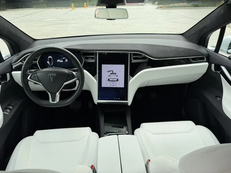 Tesla Model X 75 D — фото 10