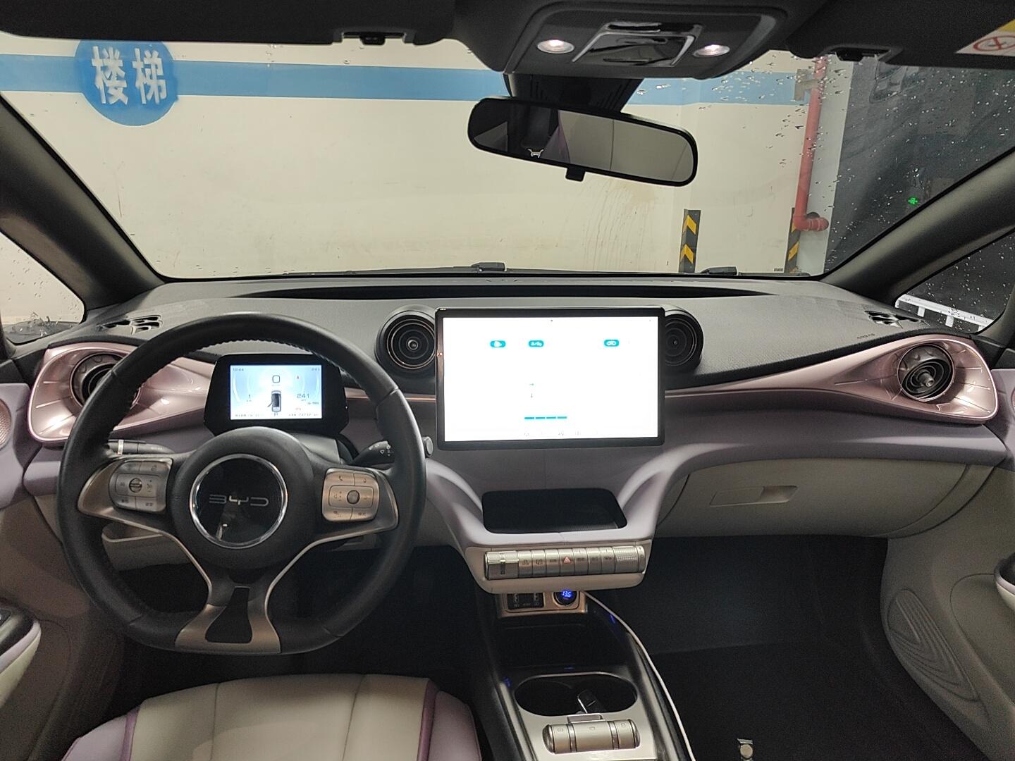 BYD Dolphin 2021 Fashion