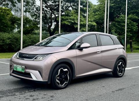 BYD Dolphin