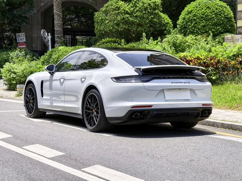 Porsche Panamera 2.9 T Platinum — фото 4