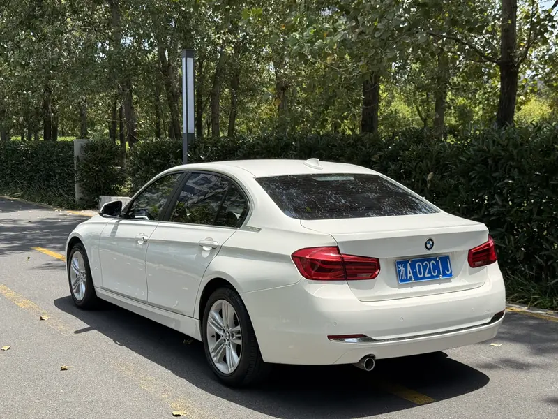 BMW 3 Series 320Li стиль — фото 3