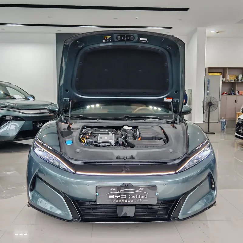BYD L DM-p 180 KM 4 WDFlagship — фото 2