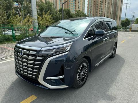 DENZA D9 DM