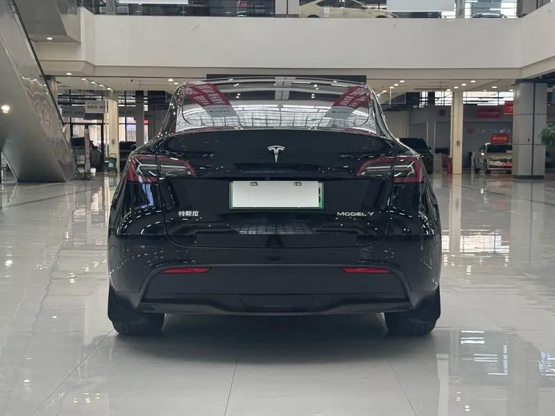 Tesla Model Y — фото 6