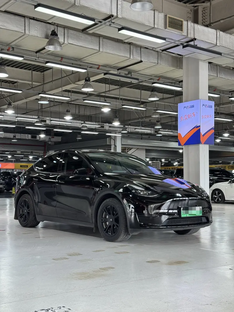Tesla Model Y — фото 3