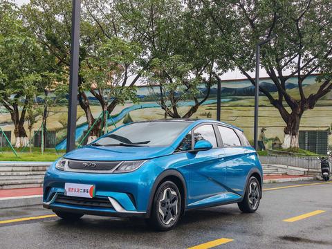 BYD Dolphin
