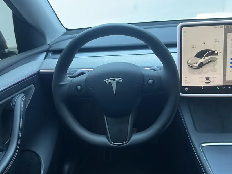 Tesla Model Y — фото 16