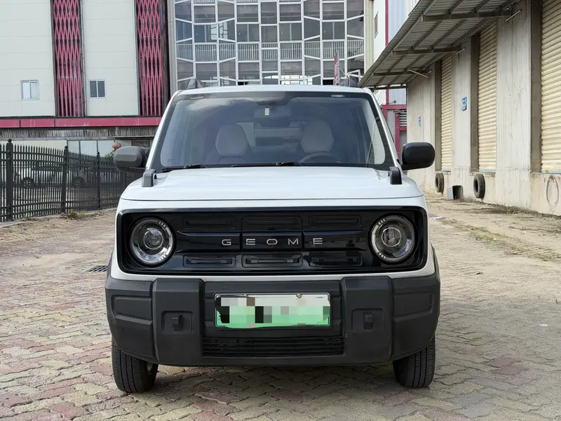 Geely Galaxy Panda — фото 2