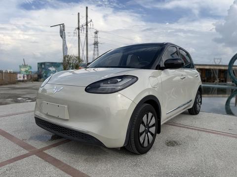 Wuling Bingo
