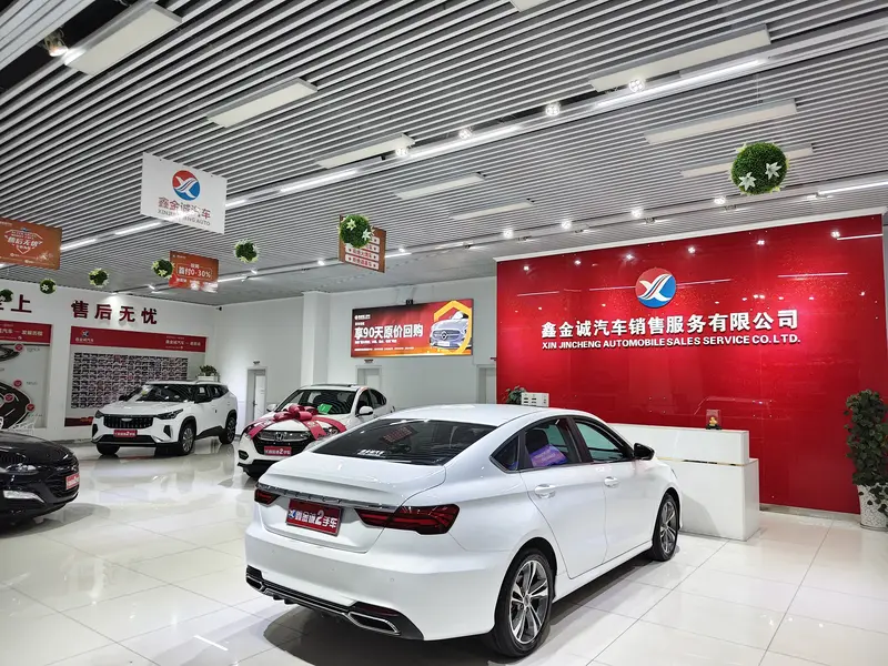 Geely Binrui — фото 7