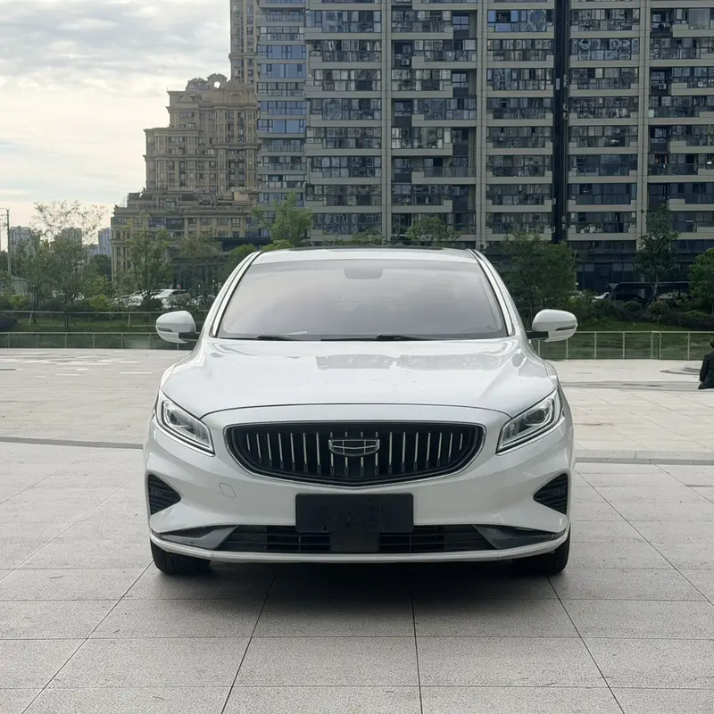 Geely Borui — фото 2