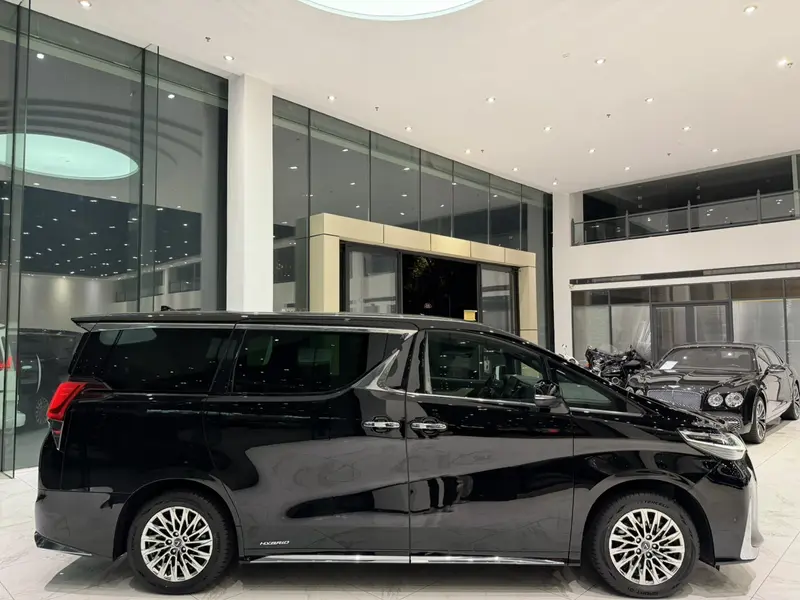 Toyota Alphard — фото 8
