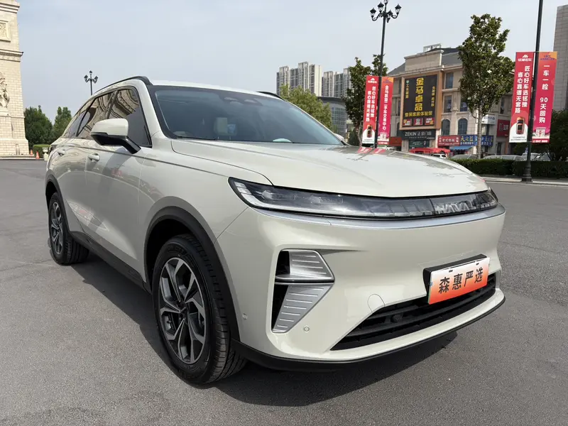 Haval Xiaolong Max — фото 3