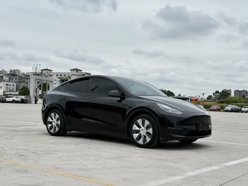 Tesla Model Y — фото 3