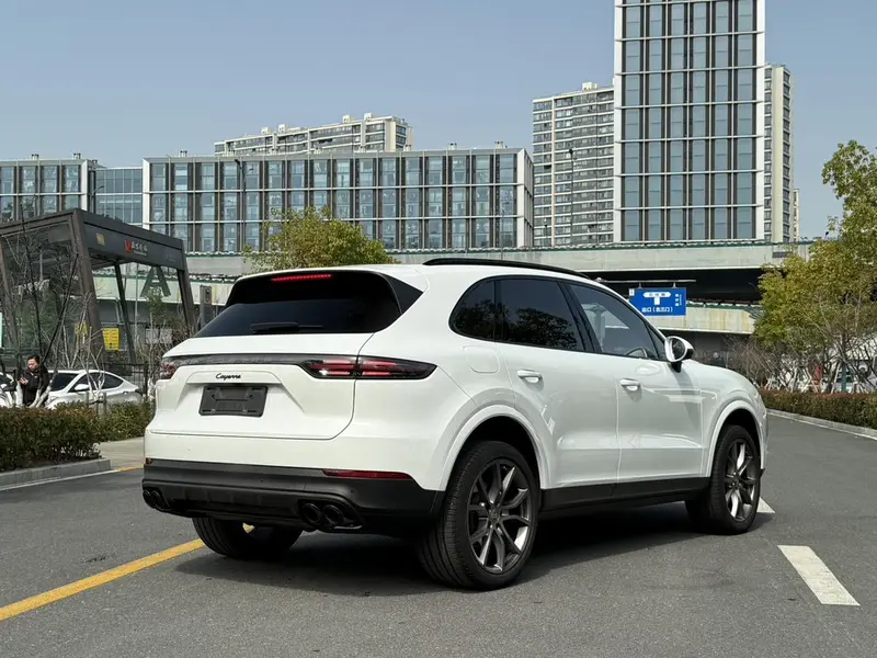 Porsche Cayenne 3.0 T Platinum — фото 6