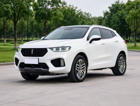 WEY VV5