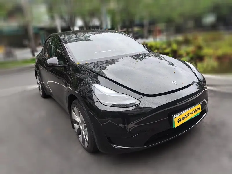 Tesla Model Y — фото 3