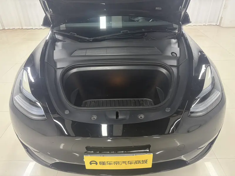 Tesla Model Y — фото 12
