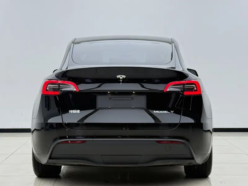 Tesla Model Y — фото 5