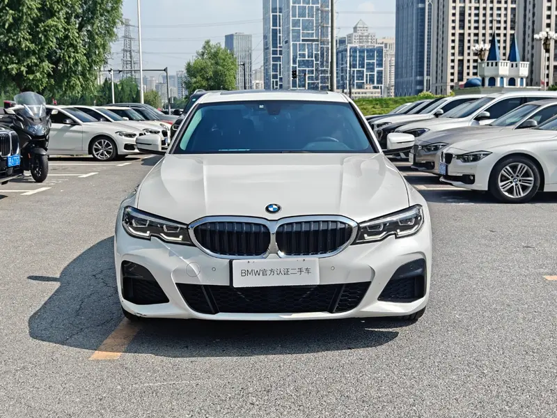 BMW 3 Series 320Li M спортпакет — фото 2