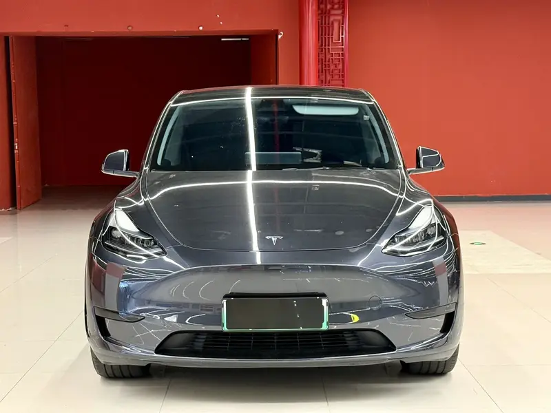 Tesla Model Y — фото 2
