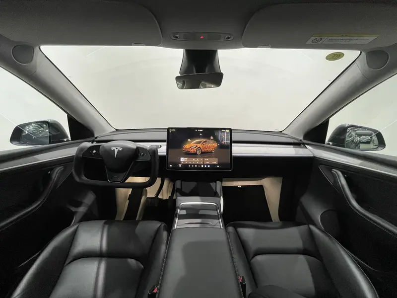 Tesla Model Y — фото 14