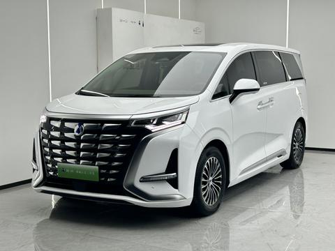DENZA D9 DM
