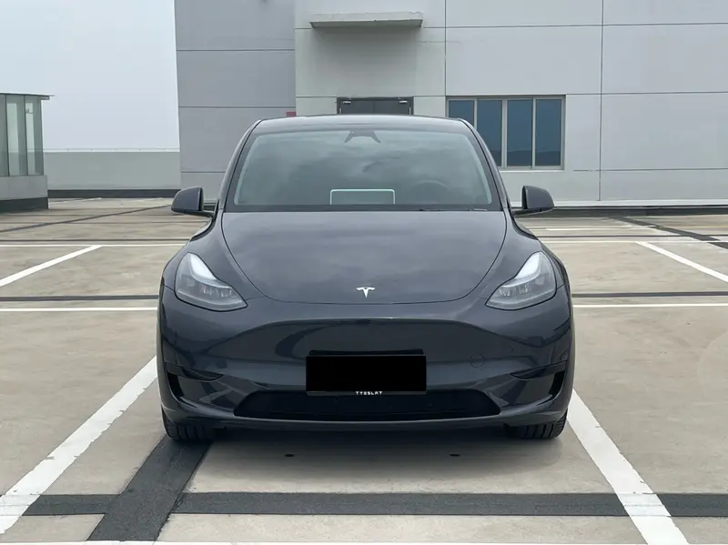 Tesla Model Y — фото 2